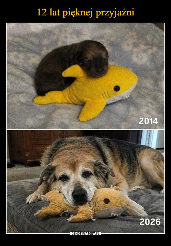
    12 lat pięknej przyjaźni