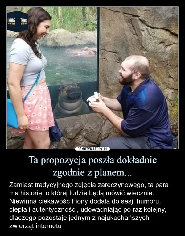 
    Ta propozycja poszła dokładnie zgodnie z planem...