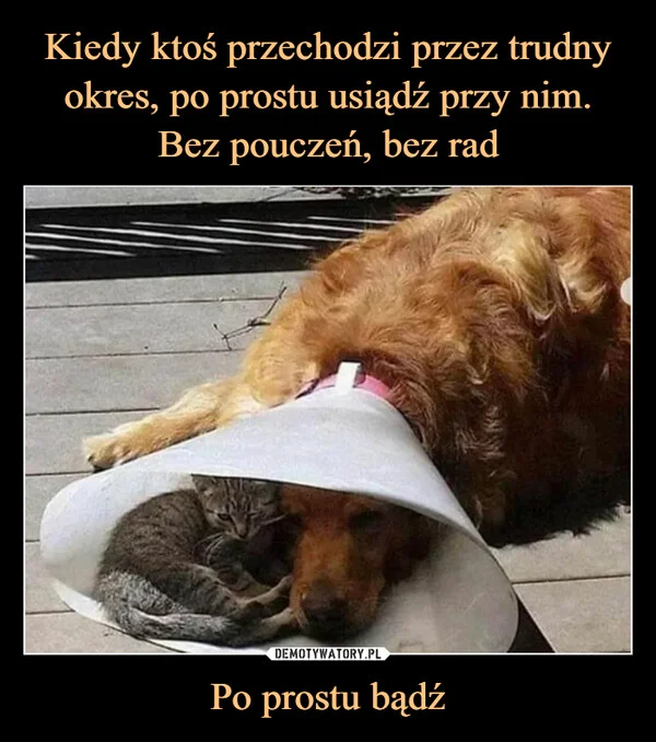 
    Kiedy ktoś przechodzi przez trudny okres, po prostu usiądź przy nim. Bez pouczeń, bez rad Po prostu bądź