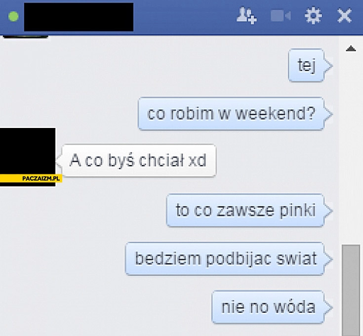 
    Co robimy w weekend? To co zawsze pinki będziemy podbijać świat nie no wóda