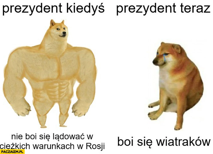 
    Prezydent kiedyś nie boi się lądować w ciężkich warunkach w rosji vs prezydent teraz boi się wiatraków pies pieseł doge cheems