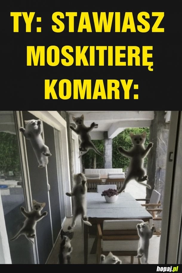 
    Komary