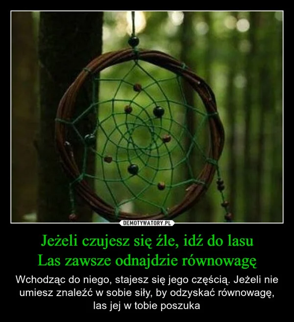 
    Jeżeli czujesz się źle, idź do lasu Las zawsze odnajdzie równowagę