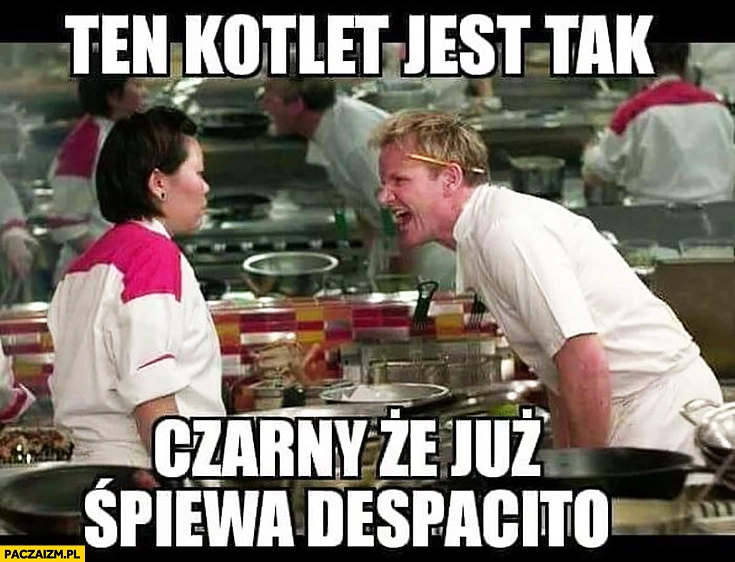 
    Ten kotlet jest tak czarny, że już śpiewa Despacito Gordon Ramsay