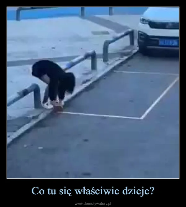 
    Co tu się właściwie dzieje?