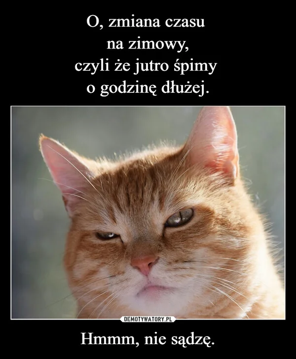 
    O, zmiana czasu na zimowy, czyli że jutro śpimy o godzinę dłużej. Hmmm, nie sądzę.