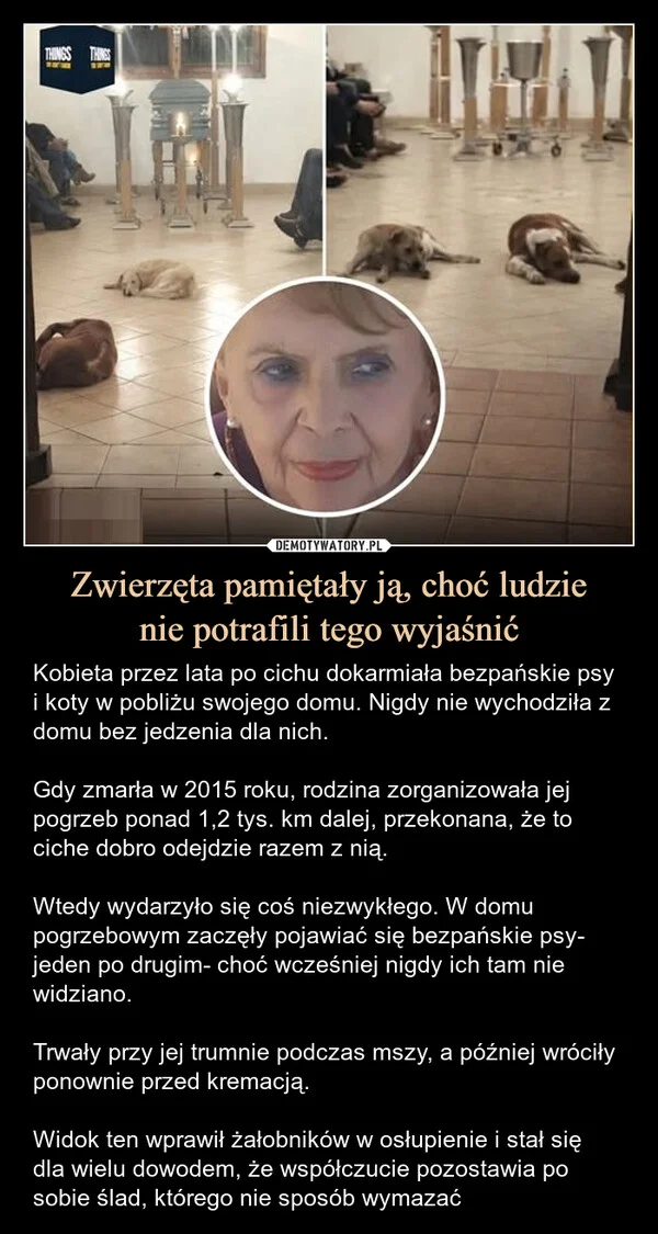 
    Zwierzęta pamiętały ją, choć ludzie nie potrafili tego wyjaśnić