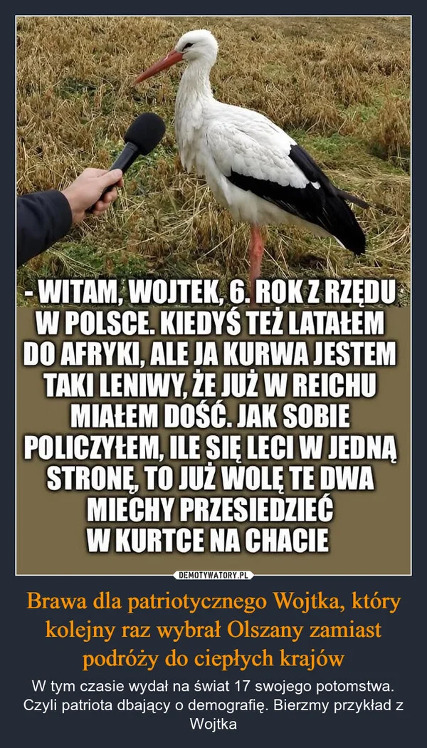 
    Brawa dla patriotycznego Wojtka, który kolejny raz wybrał Olszany zamiast podróży do ciepłych krajów