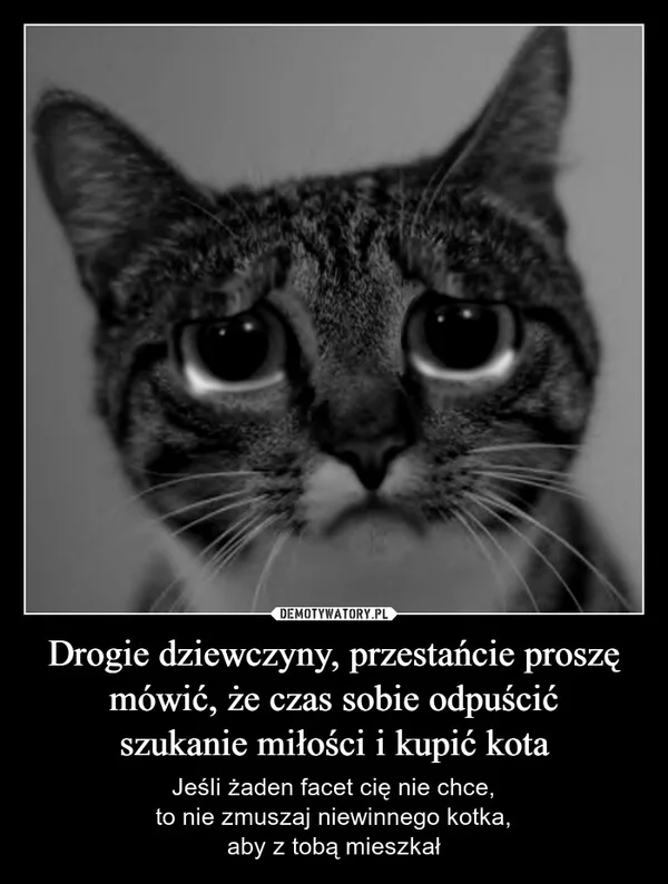
    Drogie dziewczyny, przestańcie proszę mówić, że czas sobie odpuścić szukanie miłości i kupić kota
