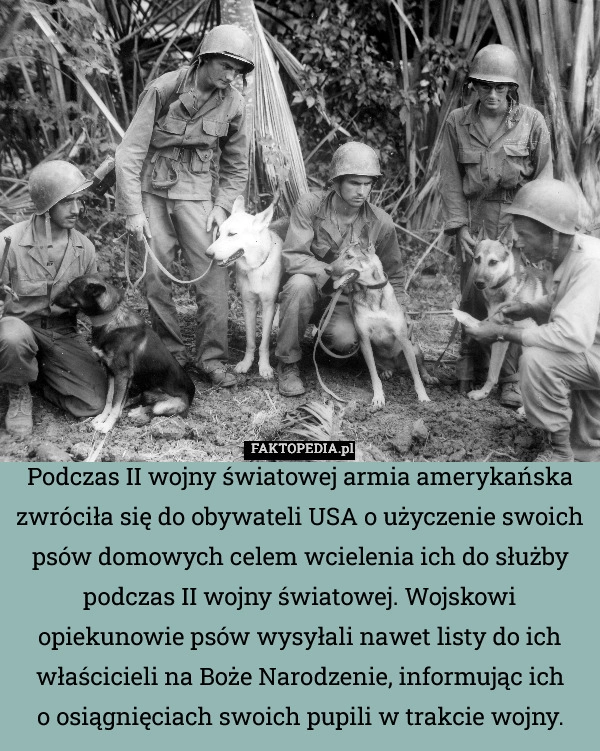 
    Podczas II wojny światowej armia amerykańska zwróciła się do obywateli USA