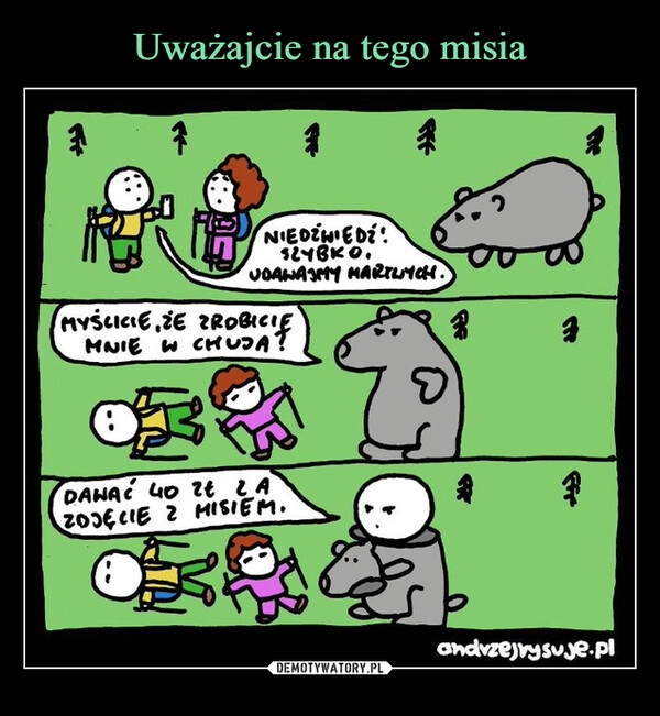 
    Uważajcie na tego misia