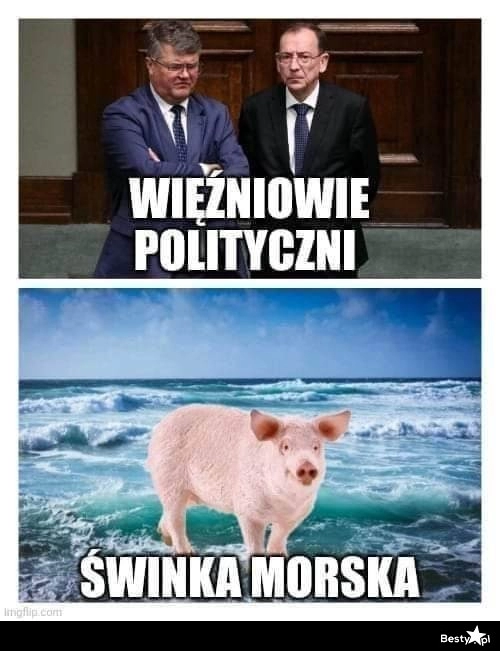 
    "Więźniowie polityczni" 