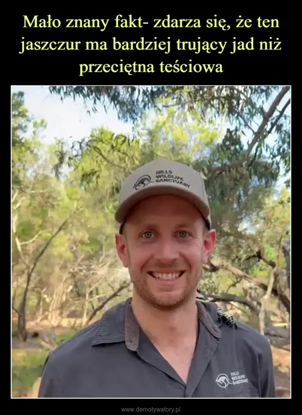 
    Mało znany fakt- zdarza się, że ten jaszczur ma bardziej trujący jad niż przeciętna teściowa