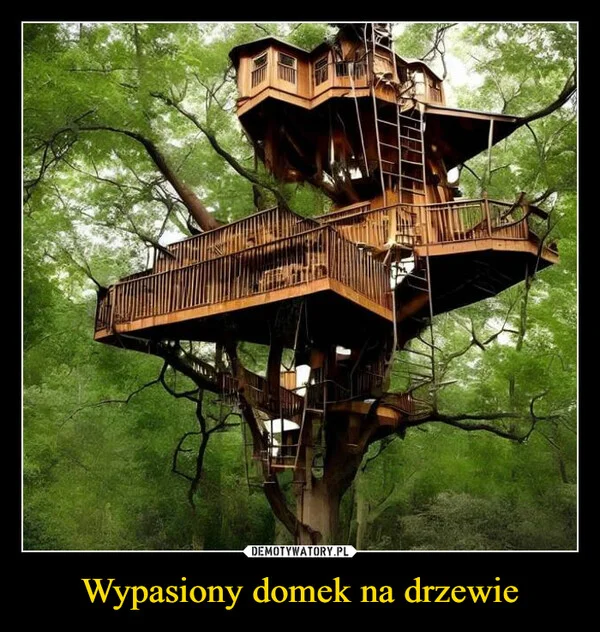 
    Wypasiony domek na drzewie