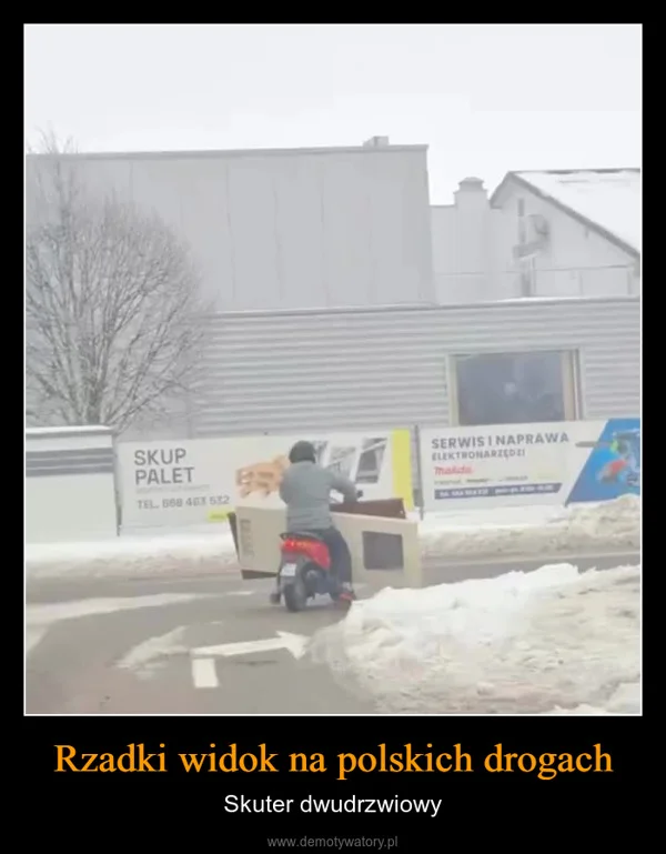 
    Rzadki widok na polskich drogach