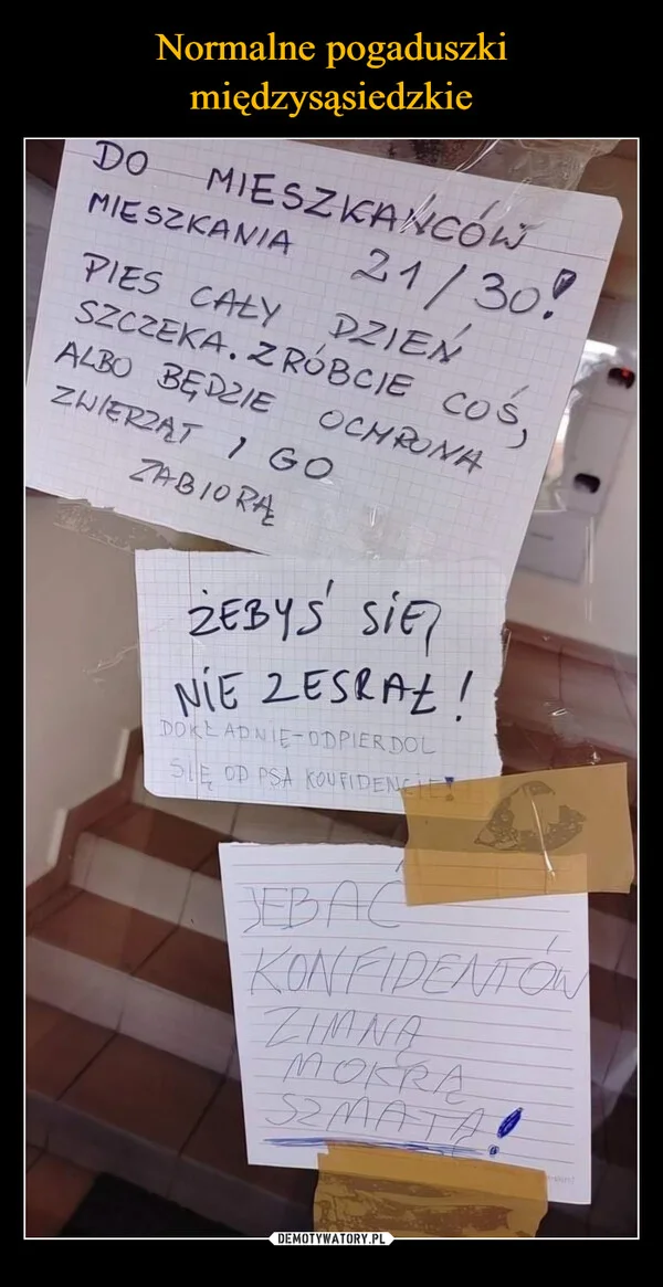 Normalne pogaduszki międzysąsiedzkie