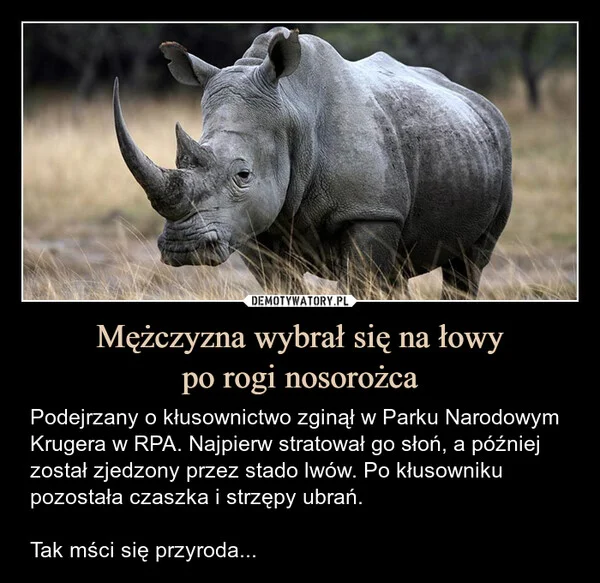 
    Mężczyzna wybrał się na łowy po rogi nosorożca