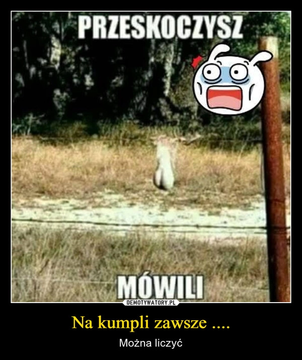 
    Na kumpli zawsze ....