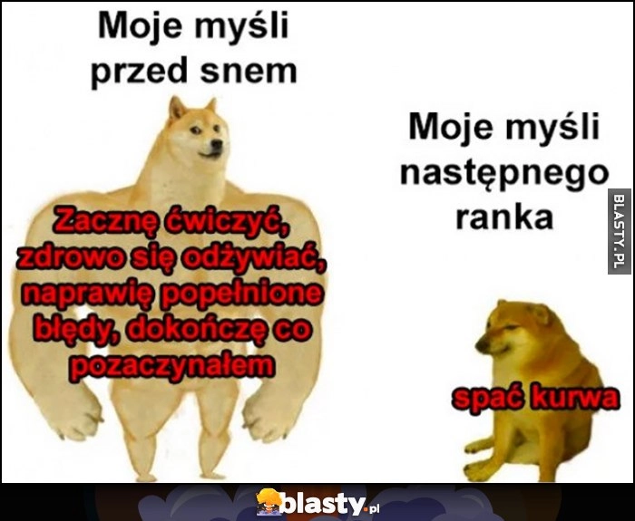 
    Moje myśli przed snem zacznę ćwiczyć vs moje myśli następnego ranka spać kurna pies pieseł doge