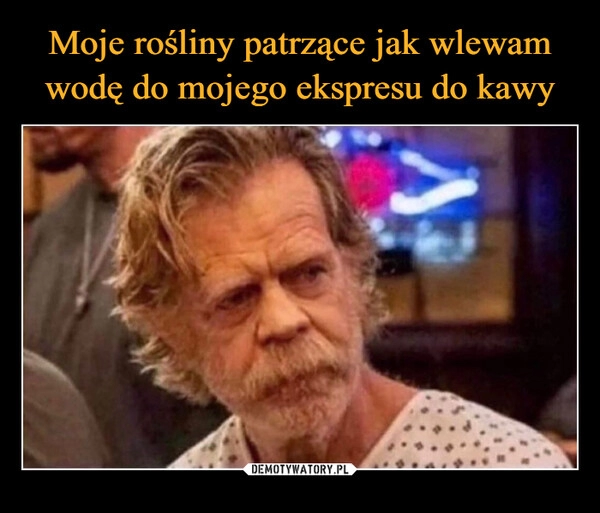 
    Moje rośliny patrzące jak wlewam wodę do mojego ekspresu do kawy