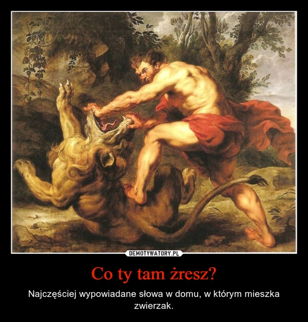 
    Co ty tam żresz?