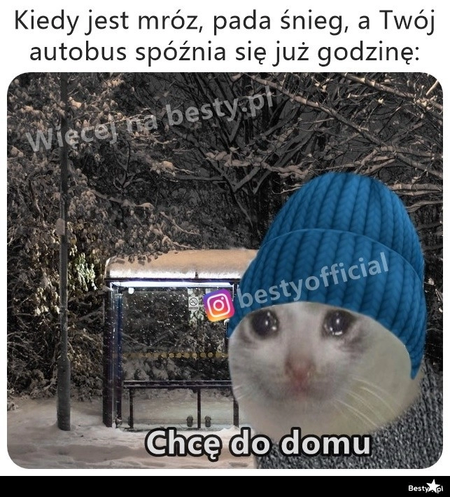 
    Ciężki powrót 