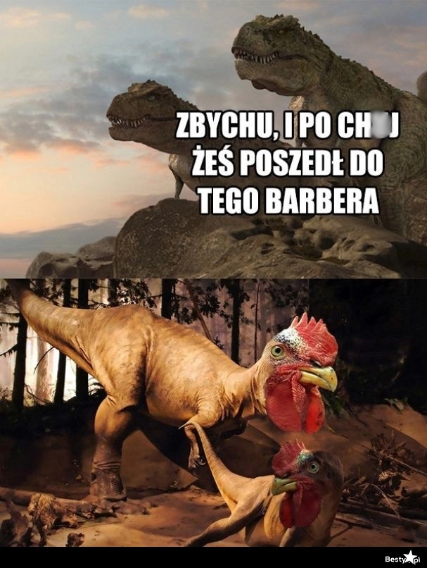 
    Zbyszek u barbera 