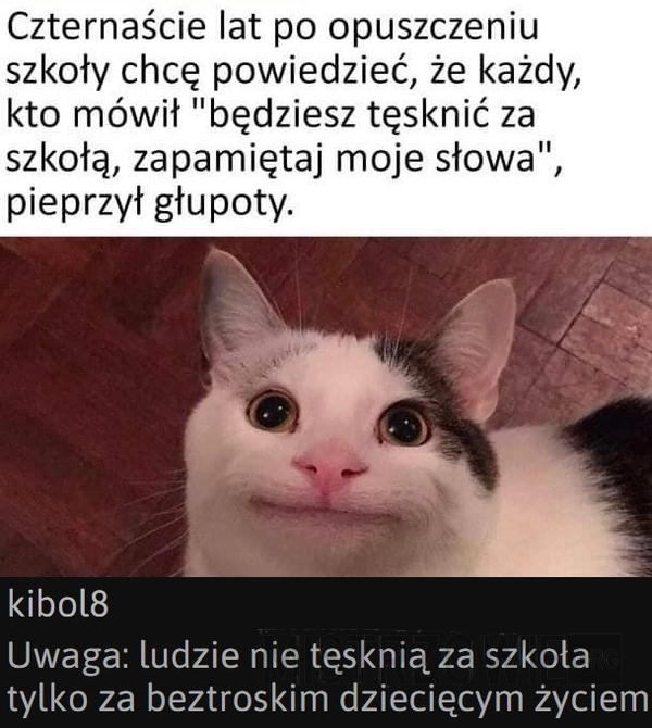 
    Zdania podzielone