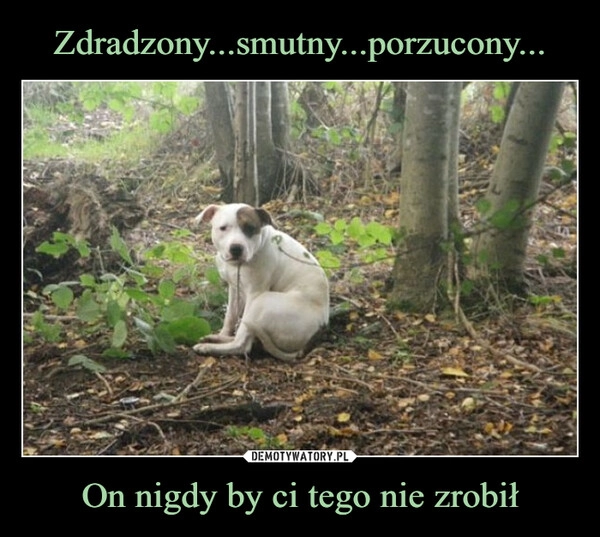 
    Zdradzony...smutny...porzucony... On nigdy by ci tego nie zrobił