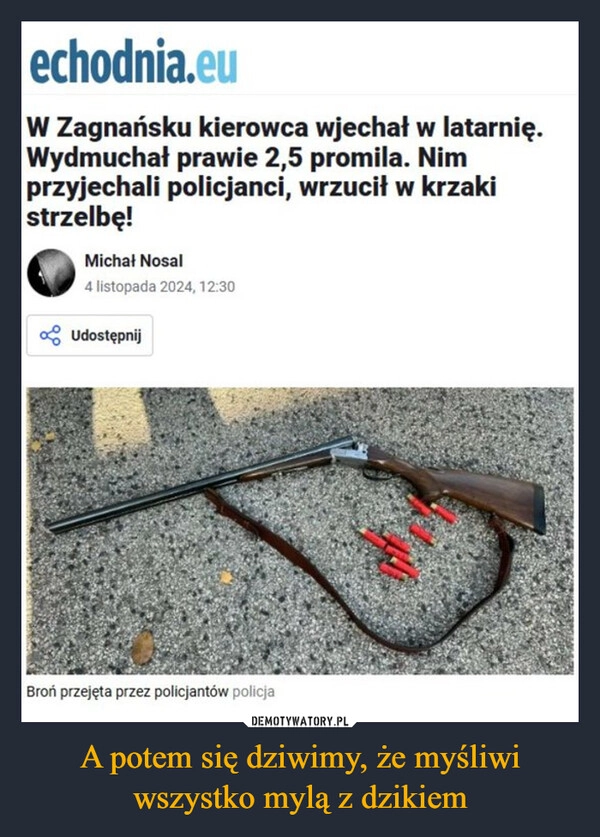 
    A potem się dziwimy, że myśliwi wszystko mylą z dzikiem