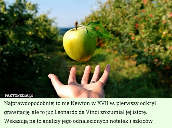 
    Najprawdopodobniej to nie Newton w XVII w. pierwszy odkrył grawitację, ale