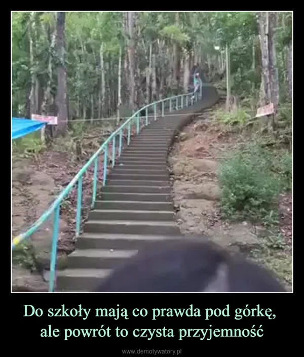 
    Do szkoły mają co prawda pod górkę, ale powrót to czysta przyjemność