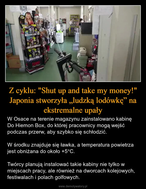 
    Z cyklu: 