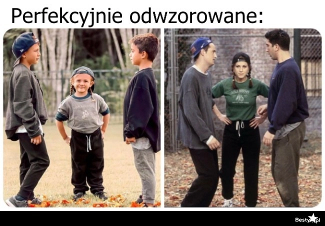 
    Przyjaciele 