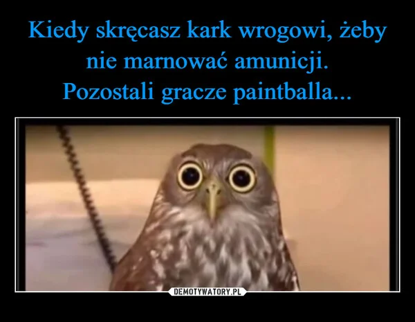 
    Kiedy skręcasz kark wrogowi, żeby nie marnować amunicji. Pozostali gracze paintballa...