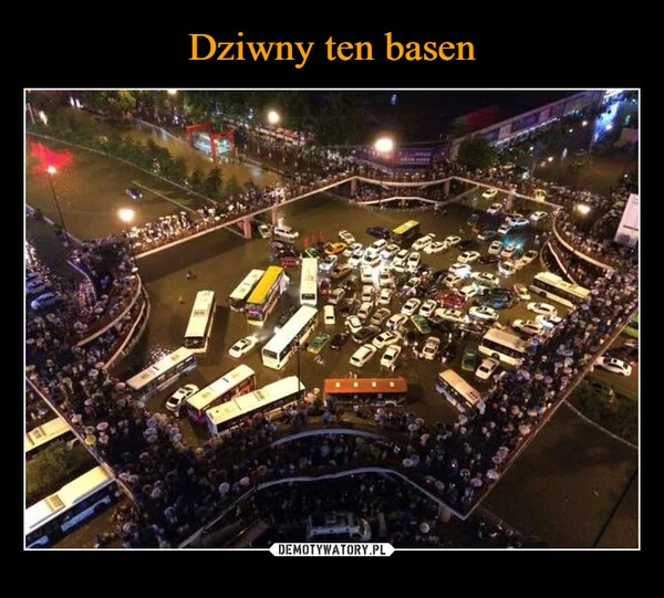 
    Dziwny ten basen