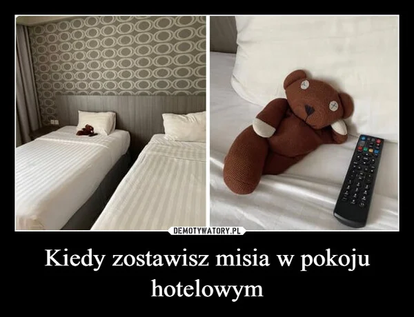 
    Kiedy zostawisz misia w pokoju hotelowym