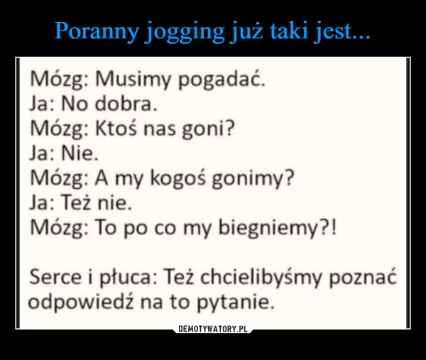 
    Poranny jogging już taki jest...