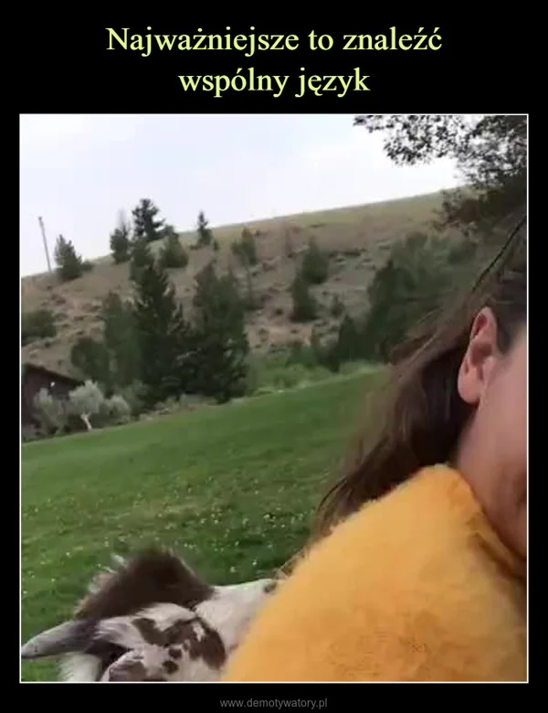 
    Najważniejsze to znaleźć wspólny język