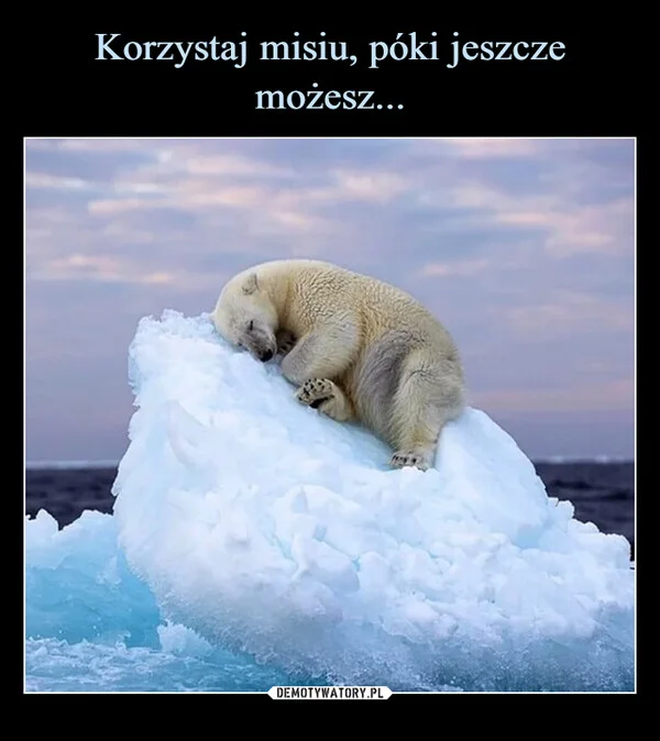 
    Korzystaj misiu, póki jeszcze możesz...