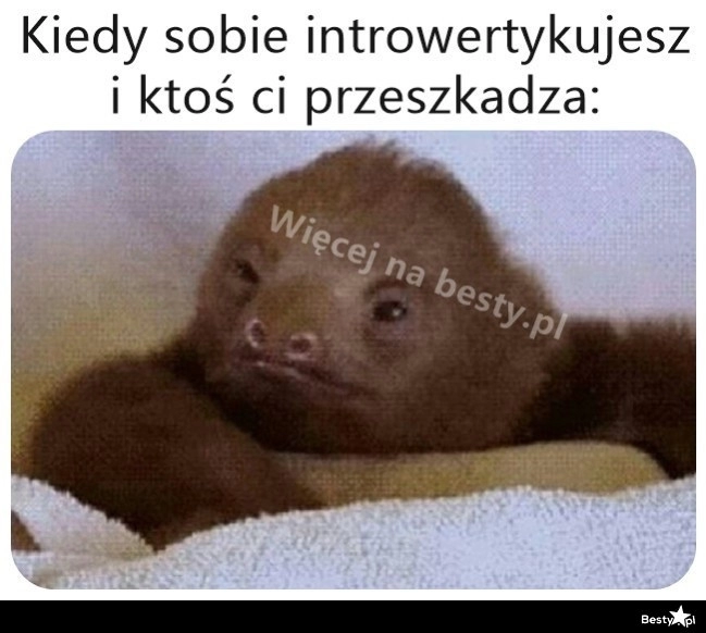 
    Kto śmie zaburzać spokój? 