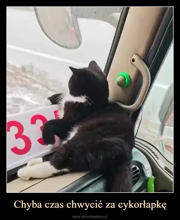
    Chyba czas chwycić za cykorłapkę