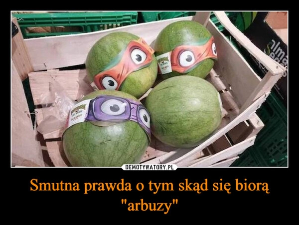 
    Smutna prawda o tym skąd się biorą "arbuzy"