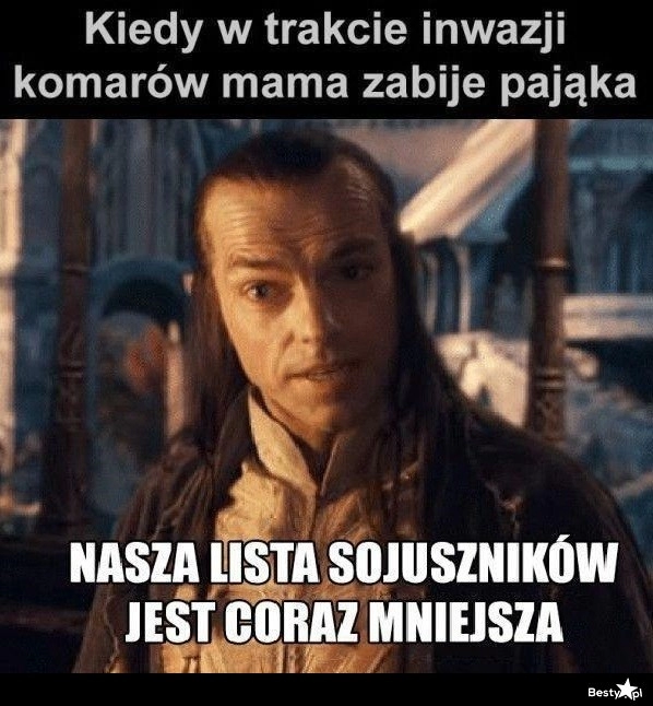 
    Pożyteczny gość 