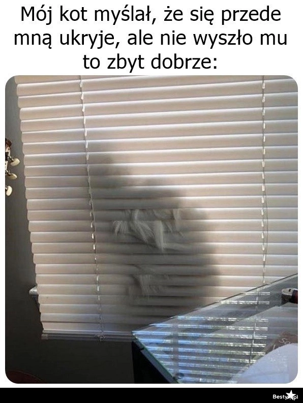 
    Coś wystaje 