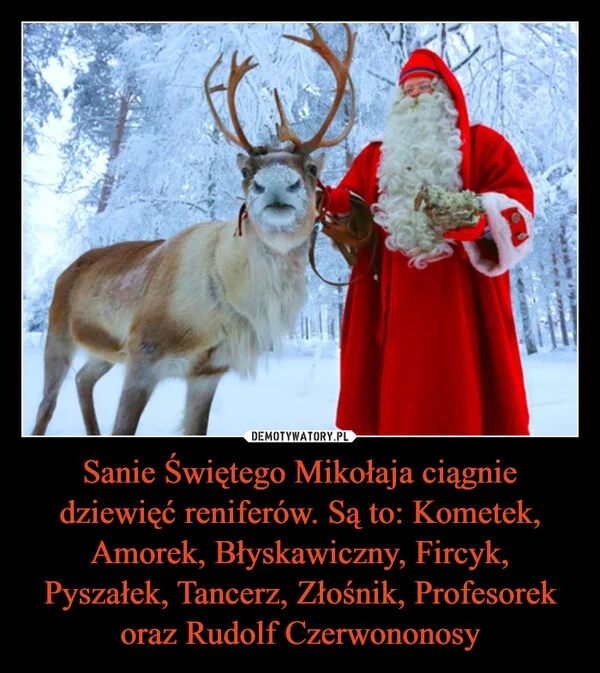 
    Sanie Świętego Mikołaja ciągnie dziewięć reniferów. Są to: Kometek, Amorek, Błyskawiczny, Fircyk, Pyszałek, Tancerz, Złośnik, Profesorek oraz Rudolf Czerwononosy