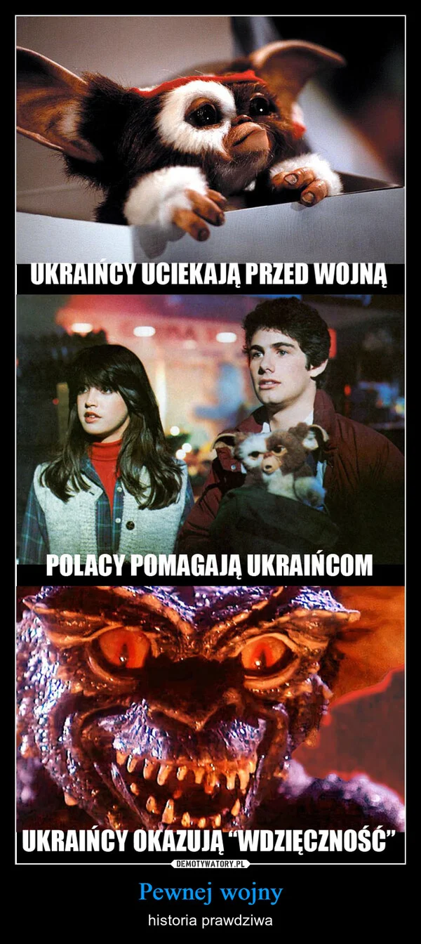 
    Pewnej wojny