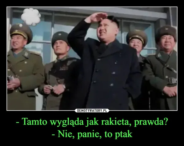 
    - Tamto wygląda jak rakieta, prawda? - Nie, panie, to ptak