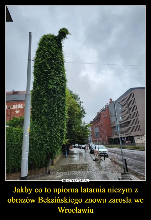 
    Jakby co to upiorna latarnia niczym z obrazów Beksińskiego znowu zarosła we Wrocławiu