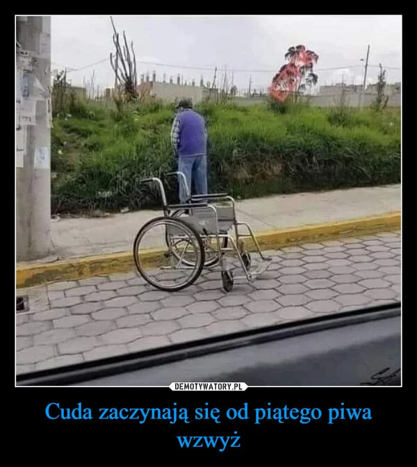 
    Cuda zaczynają się od piątego piwa wzwyż